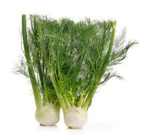 fennel on white background photo