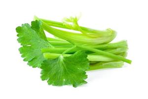 celery on white background photo