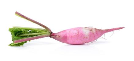 radishes isolated on white background photo