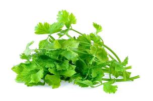 celery on white background photo