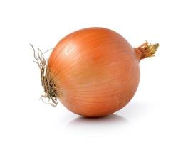 onion on white background photo