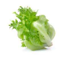 lettuce on white background photo