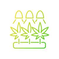 Icono de vector lineal gradiente de cultivo de cannabis. cultivar hierbas bajo luz artificial. germinación de semillas de marihuana. símbolo de color de línea delgada. pictograma de estilo moderno. dibujo de contorno aislado vectorial