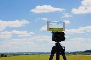 Smartphone on tripod capturing summer landscape photo