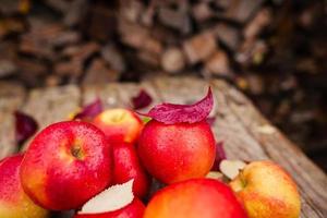 Still life with several red apples lying on an old wooden table photo