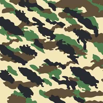 woodland jungle camouflage abstract stripes seamless pattern military vector illustration