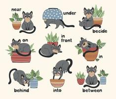 English prepositions. Educational visual material for kids learning language. Cute gray cat behind, in, on, near and under flower pot vector set for children illustration