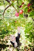 Girl reaching for a branch with apples photo