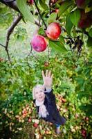 Girl reaching for a branch with apples photo