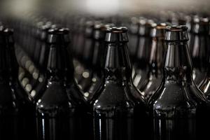 Rows of bottles on microbrewery