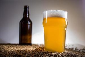Homebrew Blonde Pint and empty bottle of Beer on Pislner Malt Grain photo