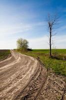 Country road and Blue Sky photo