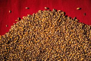 Beer Barley Malted Caramel Grains Macro Texture photo