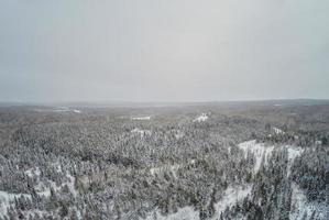 Vista aérea de la naturaleza salvaje y el bosque durante el invierno. foto