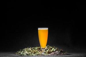 Spicy Home Hazy Brew Beer with Pepper and Labrador tea photo