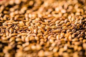 Beer Barley Malted Grains Macro Texture photo