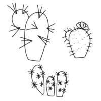 Set of three different contour cactus, prickly desert succulents for design vector