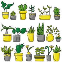 A set of indoor various plants in a doodle style, different types of blooming and not only indoor plants in bright gray and yellow pots vector