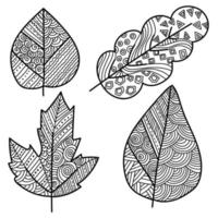 Set of zen leaves with ornate patterns, coloring page with plant motifs vector