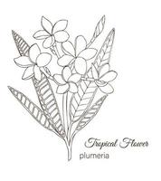 Vector illustration of tropical flower isolated on white background. Hand drawn plumeria. Floral outline. Coloring page. Sketch style. Tropic design elements.