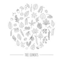 Vector set of black and white tree elements isolated on white background framed in circle. Line drawing of birch, maple, oak, rowan, chestnut, hazel, linden, alder, aspen, elm, poplar, willow leaves