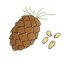 icono de piñón de color vectorial. conjunto de frutos secos monocromos aislados. Ilustración de dibujo de líneas de alimentos en estilo de dibujos animados o doodle aislado sobre fondo blanco. vector