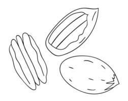 vector icono de nuez blanco y negro. conjunto de frutos secos monocromos aislados. Ilustración de dibujo de líneas de alimentos en estilo de dibujos animados o doodle aislado sobre fondo blanco.