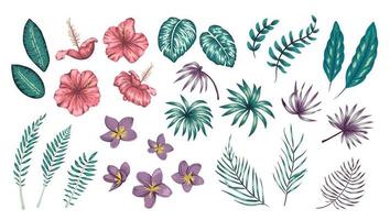 Vector set of tropical flowers and leaves isolated on white background. Bright realistic collection of exotic design elements.