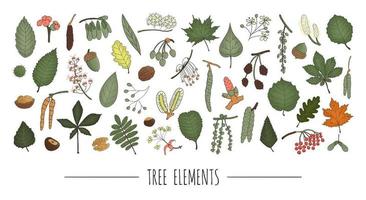 Vector set of colored tree elements isolated on white background. Colorful pack of birch, maple, oak, rowan, chestnut, hazel, linden, alder, aspen, elm, poplar, willow, walnut, ash leaves