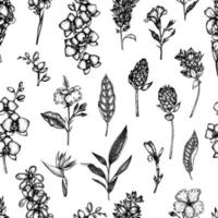 vector sin patrón de flores tropicales aisladas sobre fondo blanco. fondo floral dibujado a mano. ornamento de repetición blanco y negro gráfico floral. elementos de diseño tropical. estilo de sombreado de línea