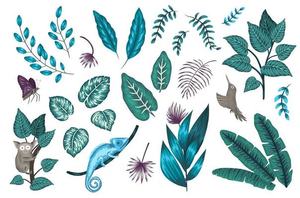 Vector set of tropical plants, insects and animals. Exotic jungle illustration with chameleon, tarsier, bird of paradise, butterfly isolated on white background.
