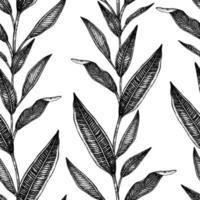 Vector seamless pattern of tropical leaves isolated on white background. Hand drawn natural background. Black and white graphic tropical design. Line shading style.