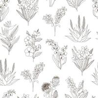 Vector seamless pattern of tropical flowers isolated on white background. Hand drawn floral background. Sketch style tropic design elements