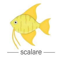 Vector colored illustration of aquarium fish. Cute picture of scalare for pet shops or children illustration