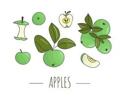 Vector colored set of hand drawn apples. Illustration of autumn harvest. Home made food theme.