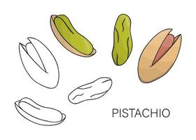 Vector black and white and colored pistachio icon. Set of isolated nuts. Food illustration in cartoon or doodle style isolated on white background.