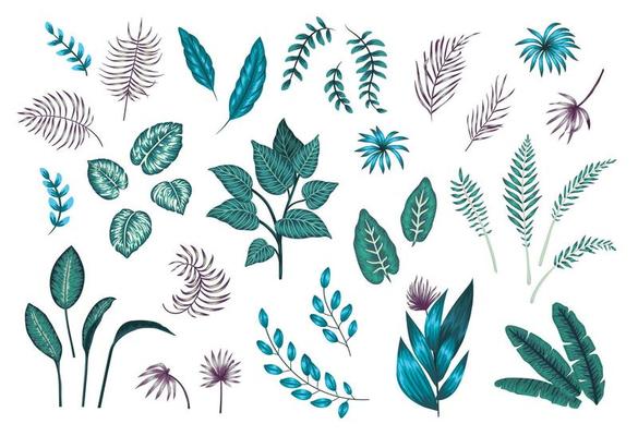 Vector set of tropical plants and leaves. Exotic jungle illustration with exotic greenery. Collection of jungle branches in purple and emerald green colors