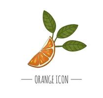 Vector colored illustration of orange isolated on white background. Citrus icon. Fruit concept. Fresh food illustration.