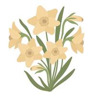 Vector illustration of narcissus bouquet isolated on white background. Spring traditional symbol and design element.