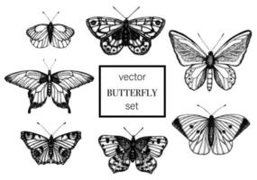 conjunto de vectores de mariposas blancas y negras dibujadas a mano. grabado ilustración retro. insectos realistas aislados sobre fondo blanco. dibujo gráfico detallado en estilo vintage