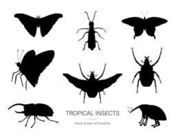 Vector set of tropical insects. Hand drawn black silhouettes of atlas moth, weevil, butterfly, goliath, Hercules beetle, Spanish fly. Set of tropic bugs  outlines