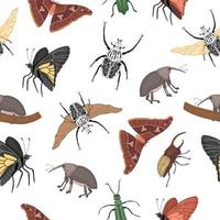 vector de patrones sin fisuras de insectos tropicales. Repita el fondo de la polilla atlas de colores dibujados a mano, gorgojo, mariposa, goliat, escarabajo hércules, mosca española. colorido lindo adorno de insectos tropicales.