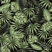 Vector seamless pattern of tropic foliage on black background. Summer or spring repeat vintage tropical backdrop with monstera, dieffenbachia, palm tree leaves. Exotic jungle ornament