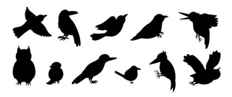 Vector set of cartoon style hand drawn flat funny cuckoos, woodpeckers, owls, raven, wren silhouettes. Cute black and white illustration of woodland birds for children design.