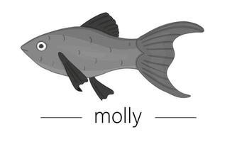 vector ilustración coloreada de peces de acuario. linda imagen de molly para tiendas de mascotas o ilustración infantil