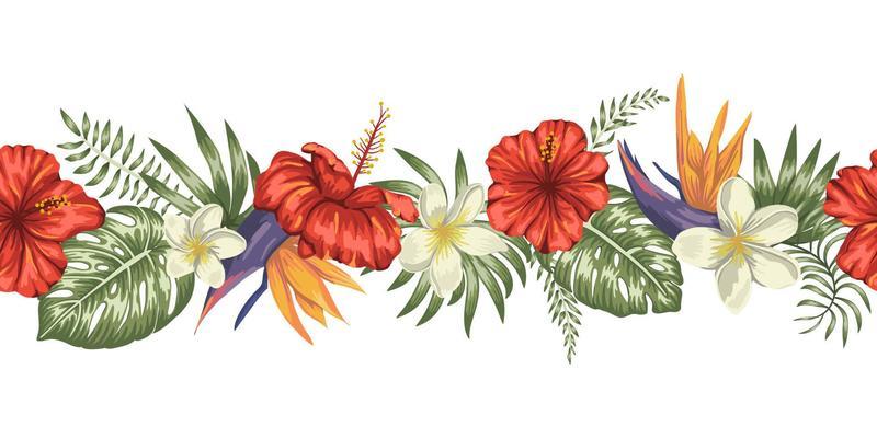 Tropical Border Vector Art, Icons, and Graphics for Free Download