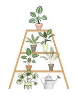 Ilustración vectorial de plantas de interior tropicales en macetas en un soporte aislado sobre fondo blanco. monstera realista brillante, alocasia, dieffenbachia, cordyline. elementos de diseño para la decoración del hogar vector