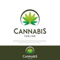 diseño de logotipo de hoja de cannabis inspiración aislada, gotas de aceite de esencia de cannabis vector