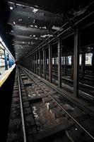 Muelle de la estación de metro vacía subterránea en la ciudad de Nueva York en el árbol de la línea. foto