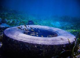 Tire Found Underwater photo